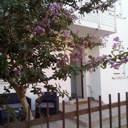 The Judas Trees Mestre Buitenkant foto