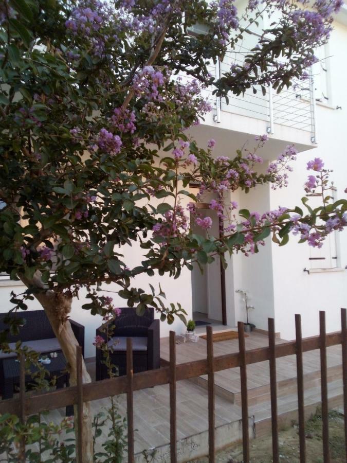 The Judas Trees Mestre Buitenkant foto