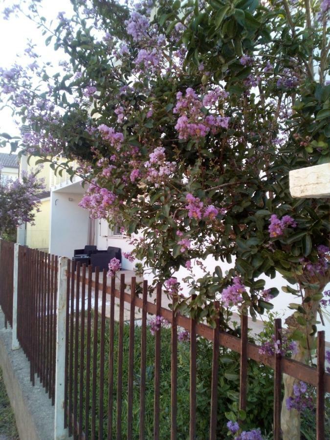 The Judas Trees Mestre Buitenkant foto